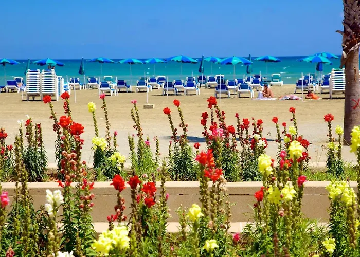 Spacious 아파트 *